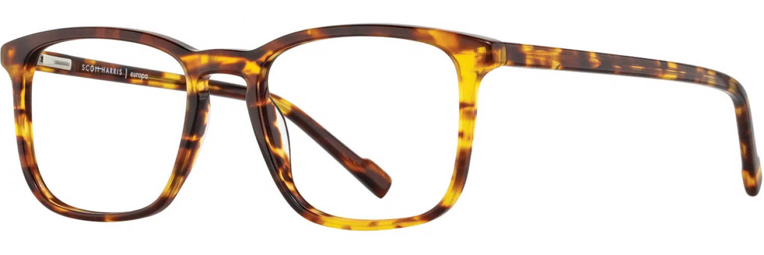 Scott Harris SH854 Eyeglasses - view 9